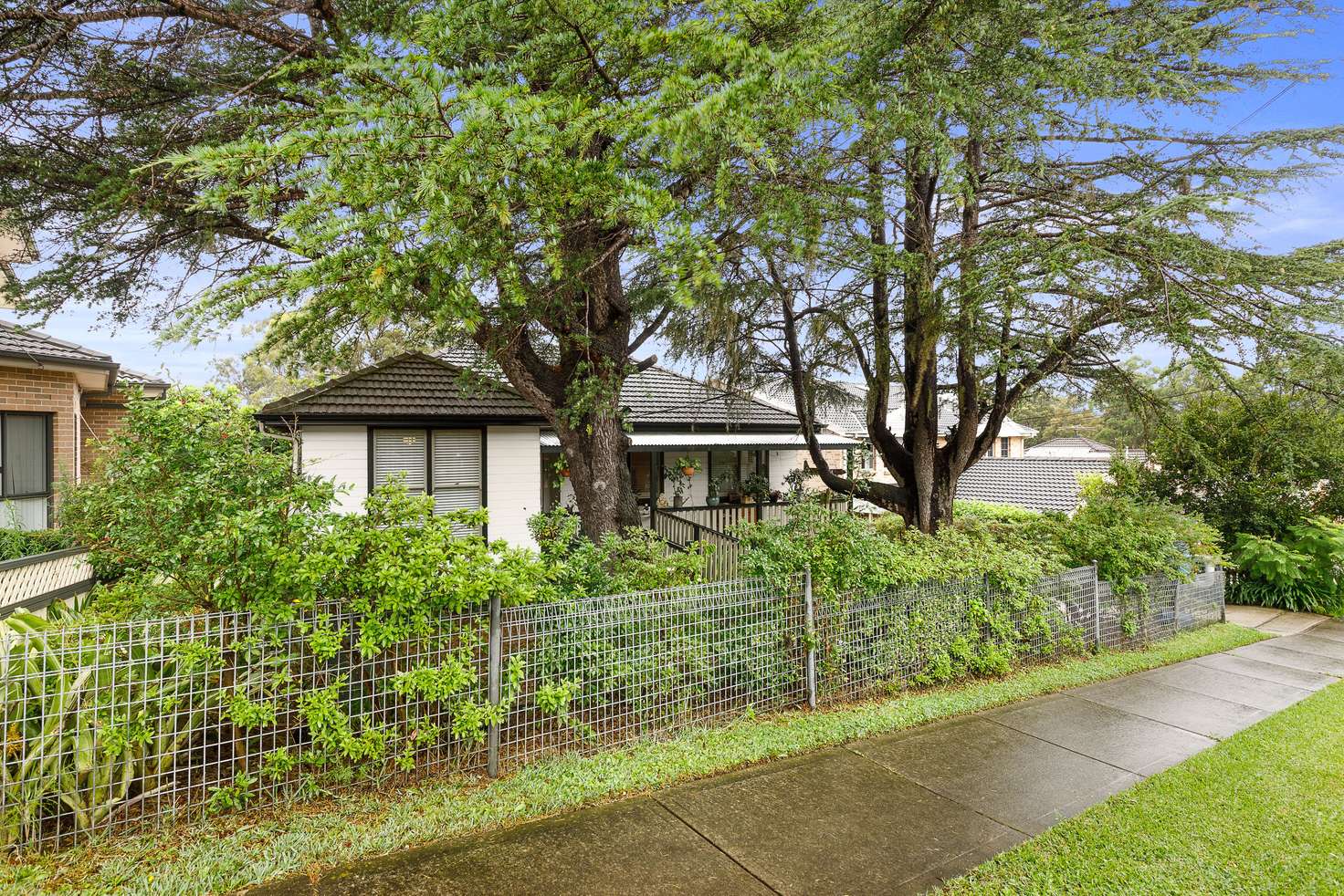 Main view of Homely house listing, 19 Patricia Street, Marsfield NSW 2122