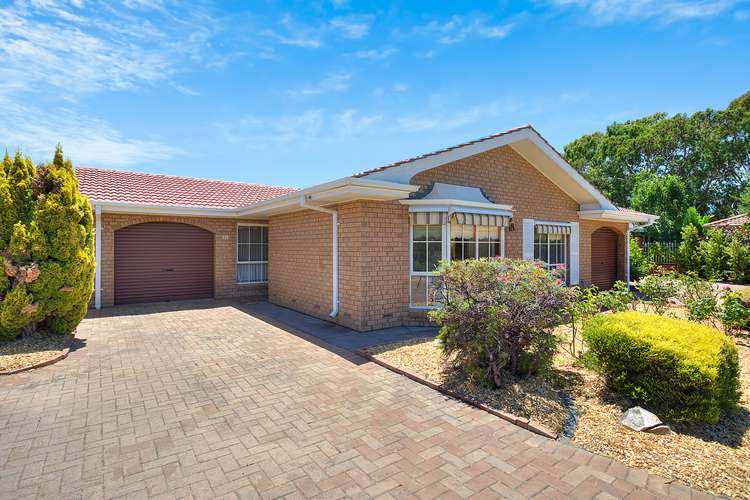 Main view of Homely house listing, 125 Sportsmans Drive, West Lakes SA 5021
