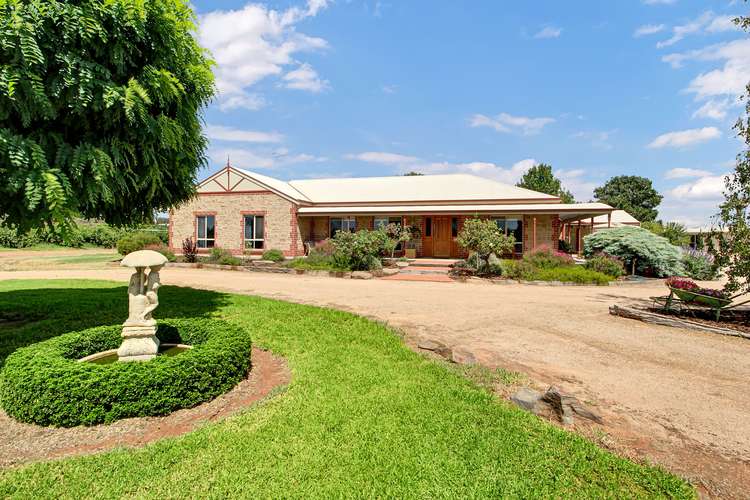 Main view of Homely house listing, 60 Chowilla Street, Renmark SA 5341