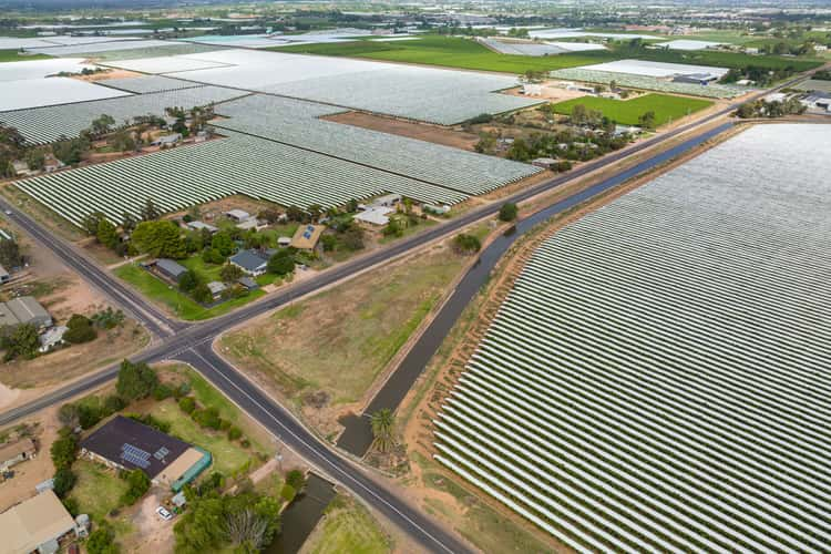 Fifth view of Homely residentialLand listing, Lot 6 Fourteenth Street, Irymple VIC 3498