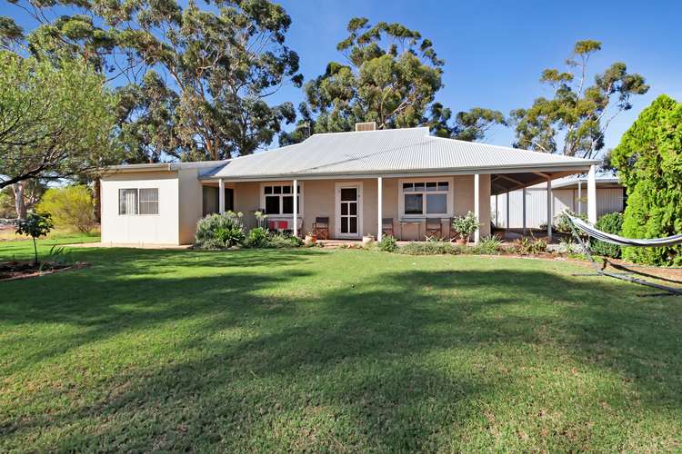 Main view of Homely house listing, 17660 Sturt Highway, Barmera SA 5345