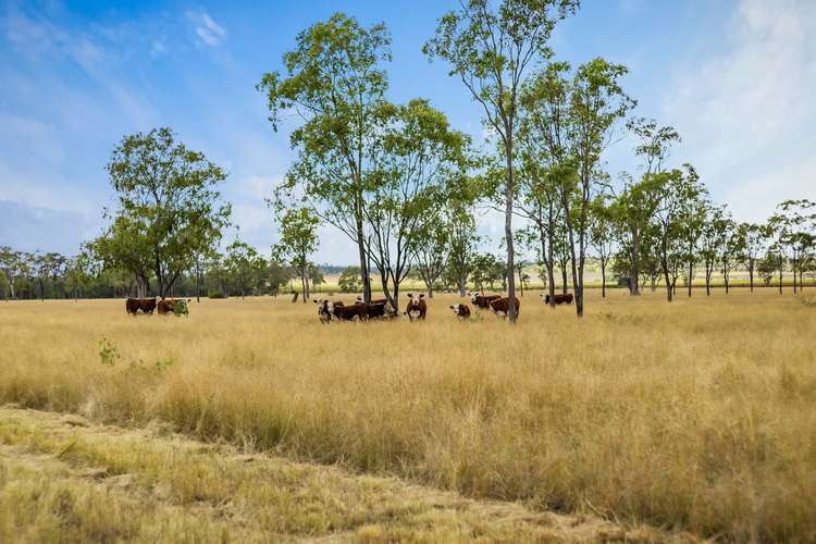 Second view of Homely ruralOther listing, 100 Longhurst Road, Brookstead QLD 4364