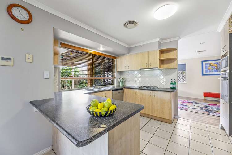 Third view of Homely house listing, 16 Bush Nut Court, Little Mountain QLD 4551