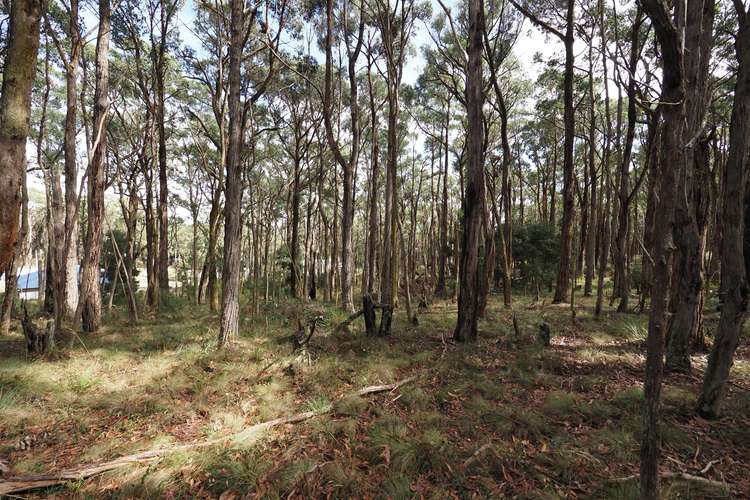 Main view of Homely residentialLand listing, Lot 114 Pine Court, Dales Creek VIC 3341