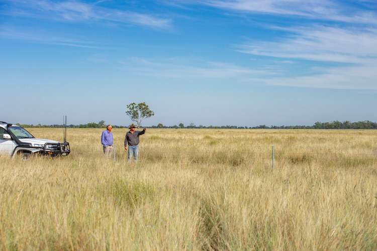 Third view of Homely ruralOther listing, 390 THARA Road, Coonamble NSW 2829