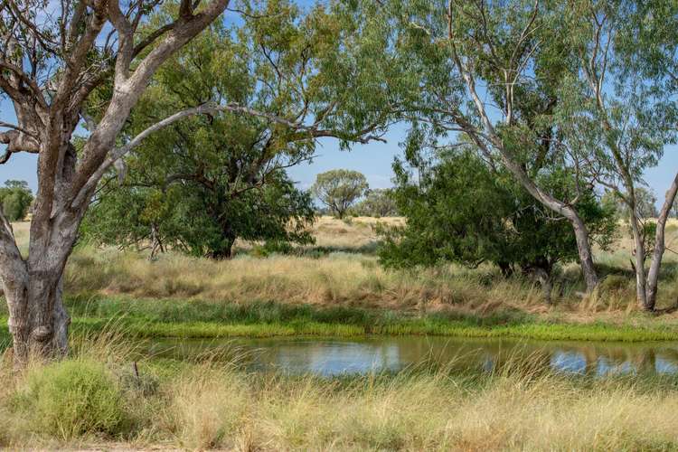Fifth view of Homely ruralOther listing, 390 THARA Road, Coonamble NSW 2829