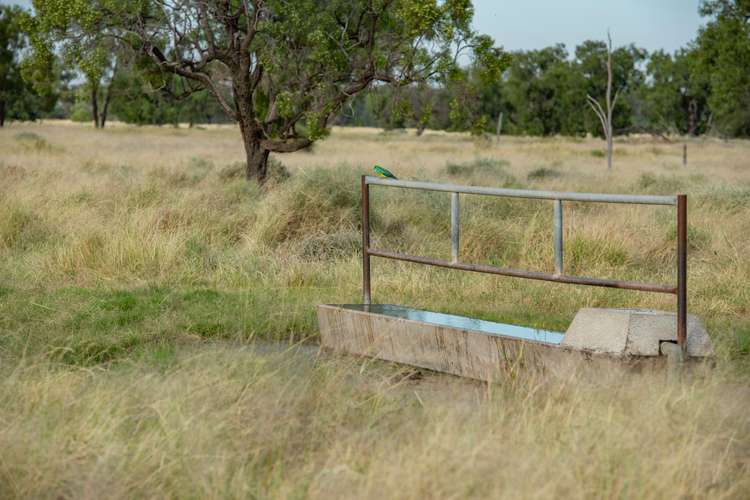 Seventh view of Homely ruralOther listing, 390 THARA Road, Coonamble NSW 2829