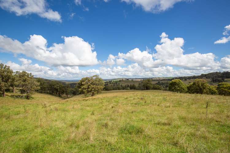 Fifth view of Homely ruralOther listing, 93 Armidale Gully Road, Armidale NSW 2350