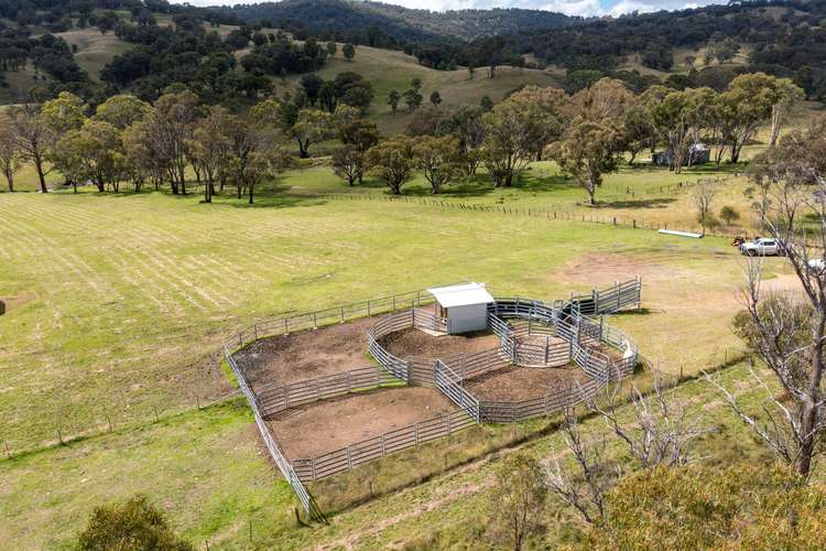 Sixth view of Homely ruralOther listing, 93 Armidale Gully Road, Armidale NSW 2350