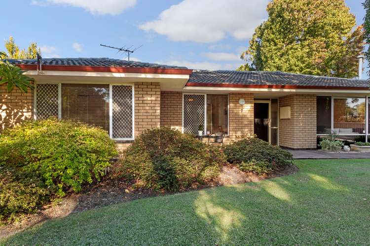 Main view of Homely house listing, 7 Adelina Street, Wilson WA 6107