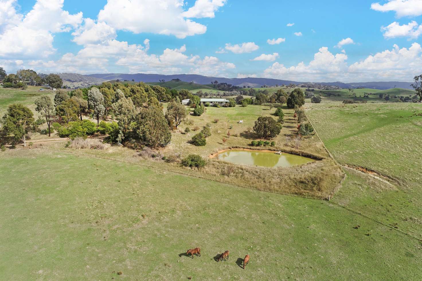 Main view of Homely acreageSemiRural listing, 918 Monkey Gully Road, Goughs Bay VIC 3723