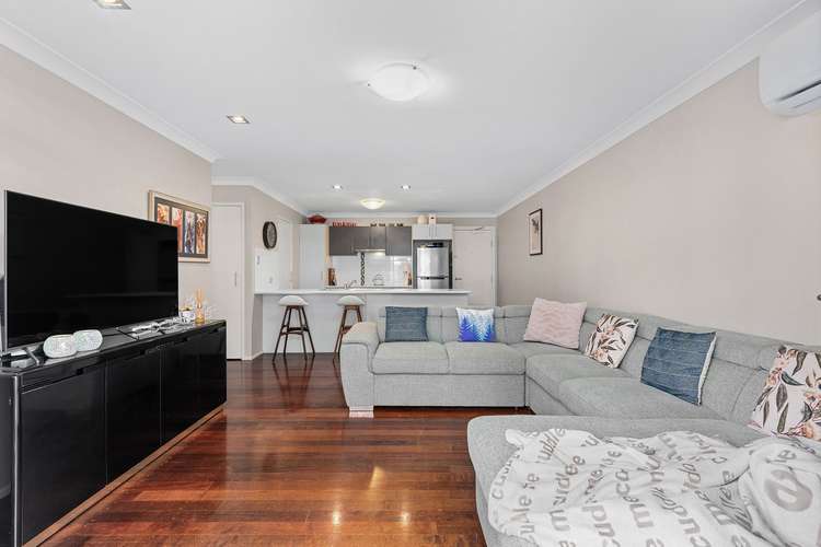 Main view of Homely apartment listing, 10/14 Coyne Street, Sherwood QLD 4075