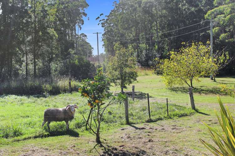 Sixth view of Homely ruralOther listing, 250 Emu Creek Road, Crawford River NSW 2423