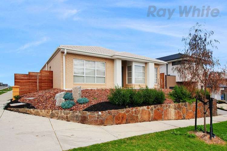 Main view of Homely house listing, 11 Red Box Street, Coburg North VIC 3058