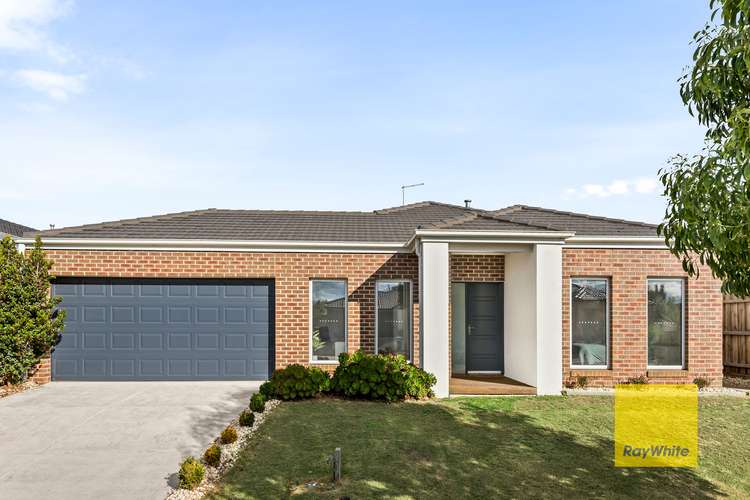 Main view of Homely house listing, 12 Badminton Court, Marshall VIC 3216