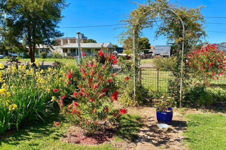 Seventh view of Homely house listing, 29 Lachlan Street, Bogan Gate NSW 2876