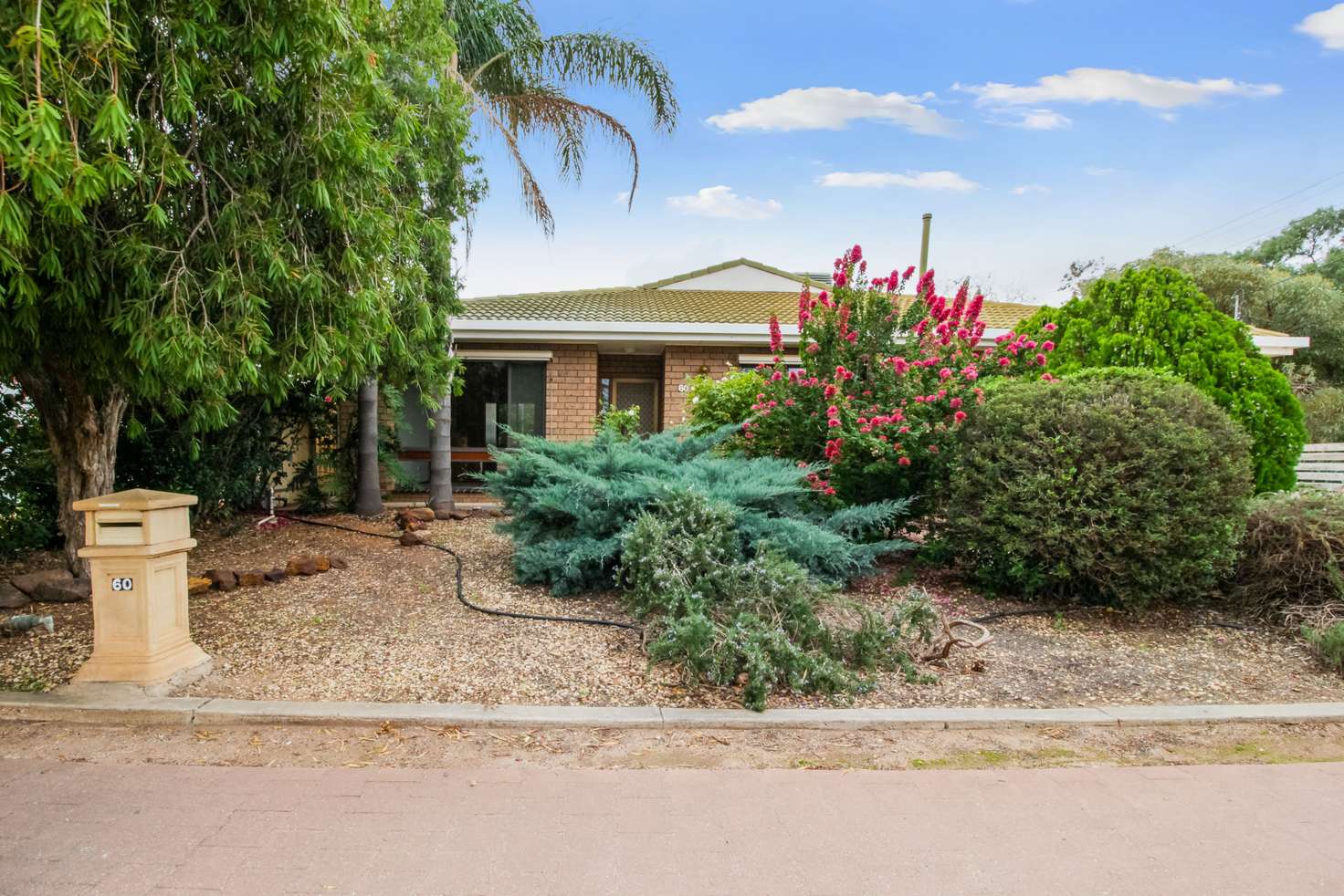 Main view of Homely house listing, 60 Nineteenth Street, Renmark SA 5341