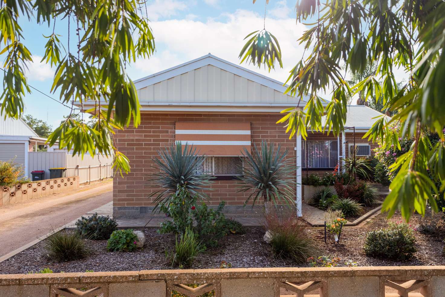 Main view of Homely house listing, 49 Tonkin Avenue, Barmera SA 5345