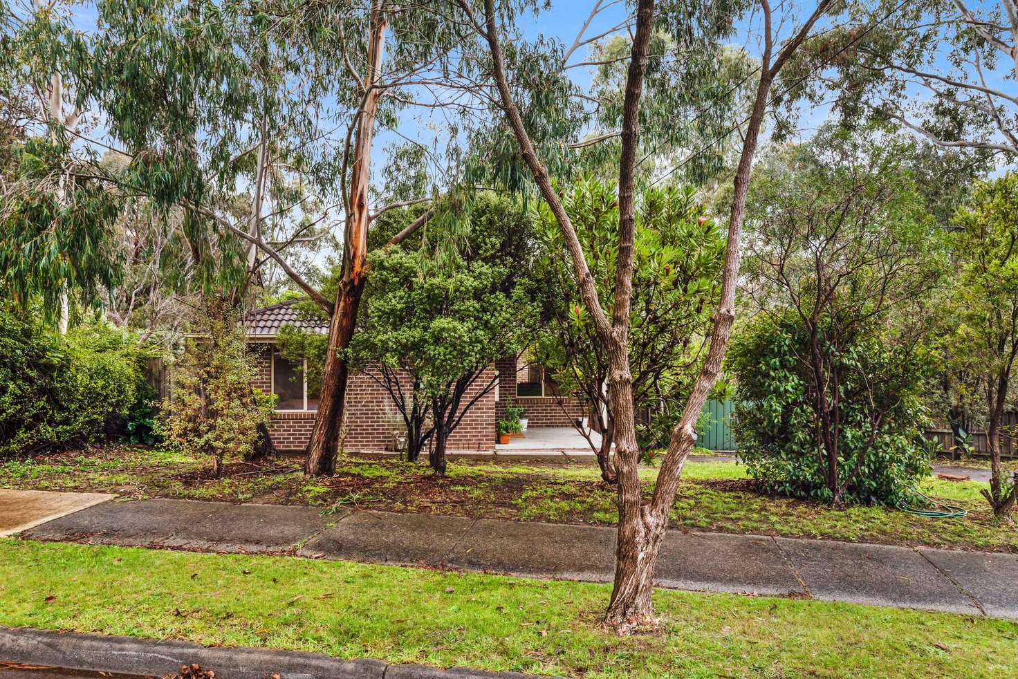 Main view of Homely house listing, 29 Williams Road, Mooroolbark VIC 3138