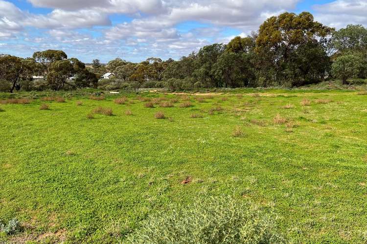 Sixth view of Homely residentialLand listing, 23 Lawler Street, Ouyen VIC 3490