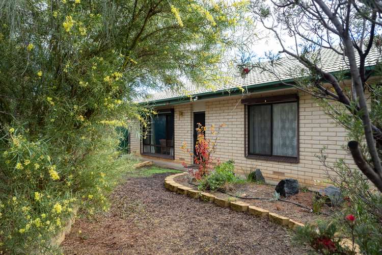 3 Bruce Road, Barmera SA 5345