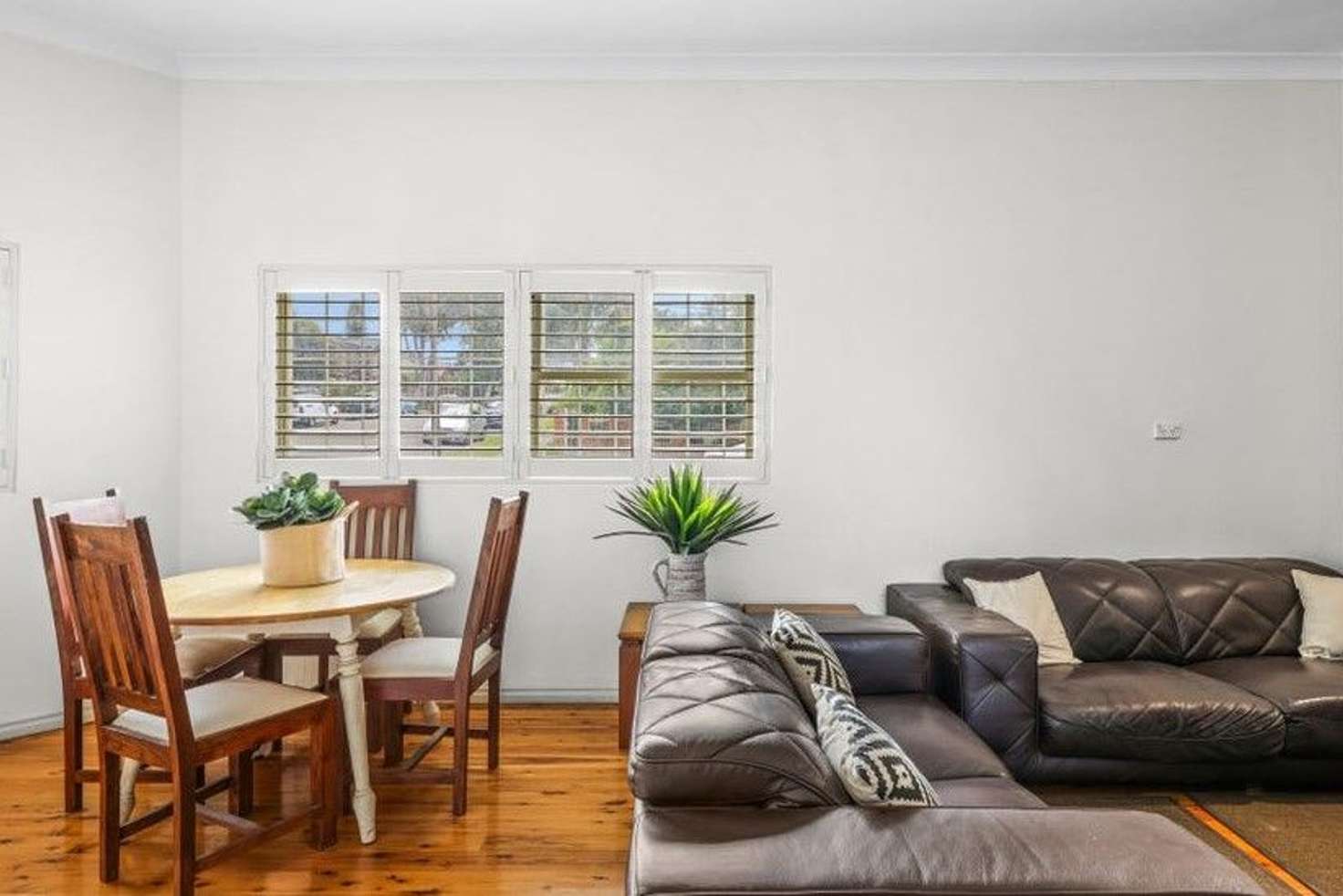 Main view of Homely semiDetached listing, 44B Melville Street, Ashbury NSW 2193