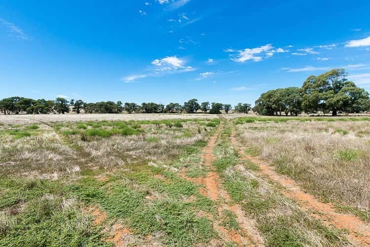 Third view of Homely residentialLand listing, 2284 Ridley Road, Angas Valley SA 5238