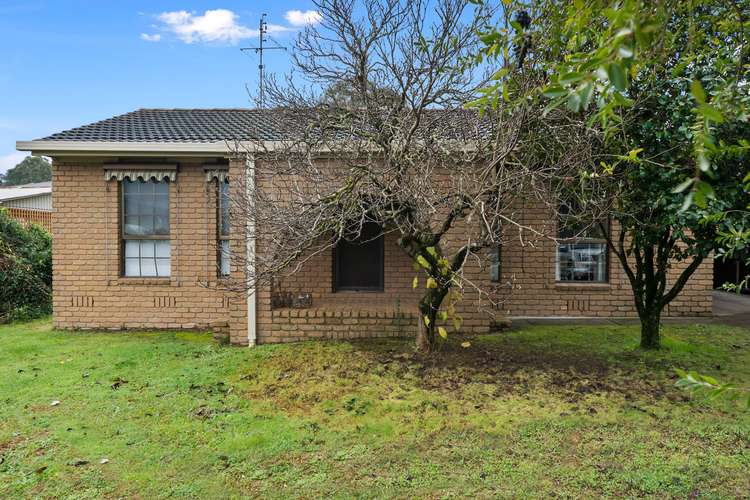 Main view of Homely house listing, 8 Williams Street, Myrtleford VIC 3737