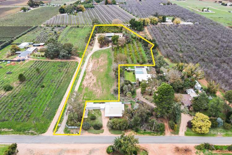 Second view of Homely house listing, 493 Chowilla Street, Renmark SA 5341