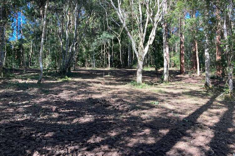 Second view of Homely ruralOther listing, 250 Martells Road, Bellingen NSW 2454