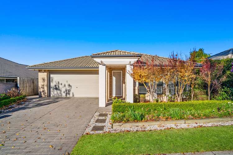 Main view of Homely house listing, 12 Kerrigan Crescent, Elderslie NSW 2570