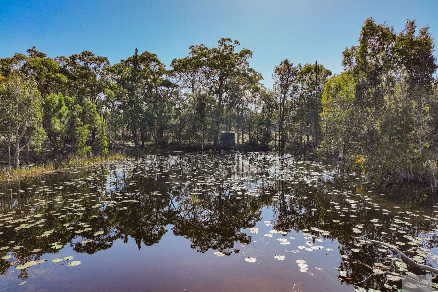 Main view of Homely house listing, 61 Broughton Road, Byfield QLD 4703