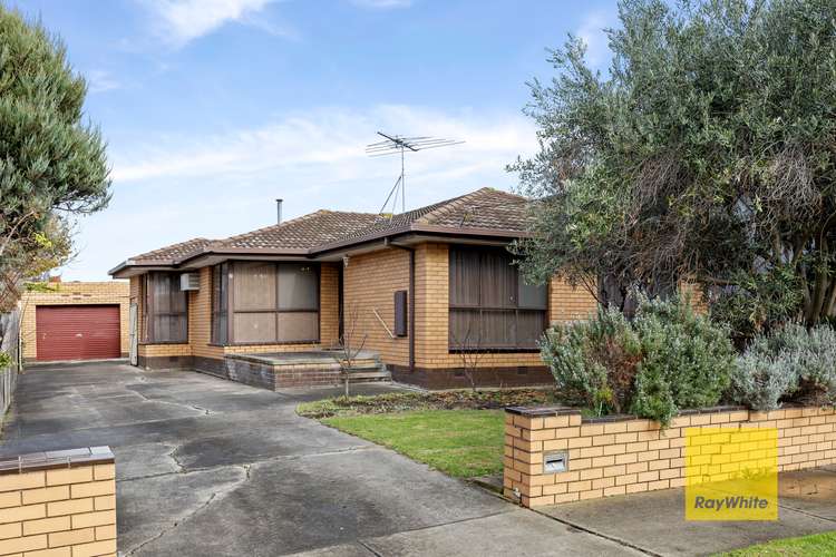 Main view of Homely house listing, 13 Kinnon Avenue, Belmont VIC 3216
