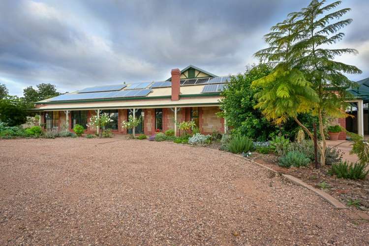 Main view of Homely house listing, 31 Shirley Street, Port Augusta West SA 5700