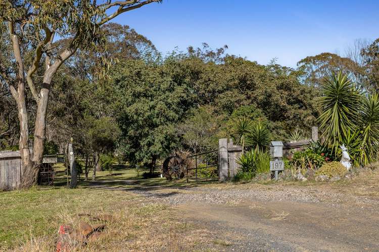 Third view of Homely acreageSemiRural listing, 197 Postle Street, Mount Rascal QLD 4350