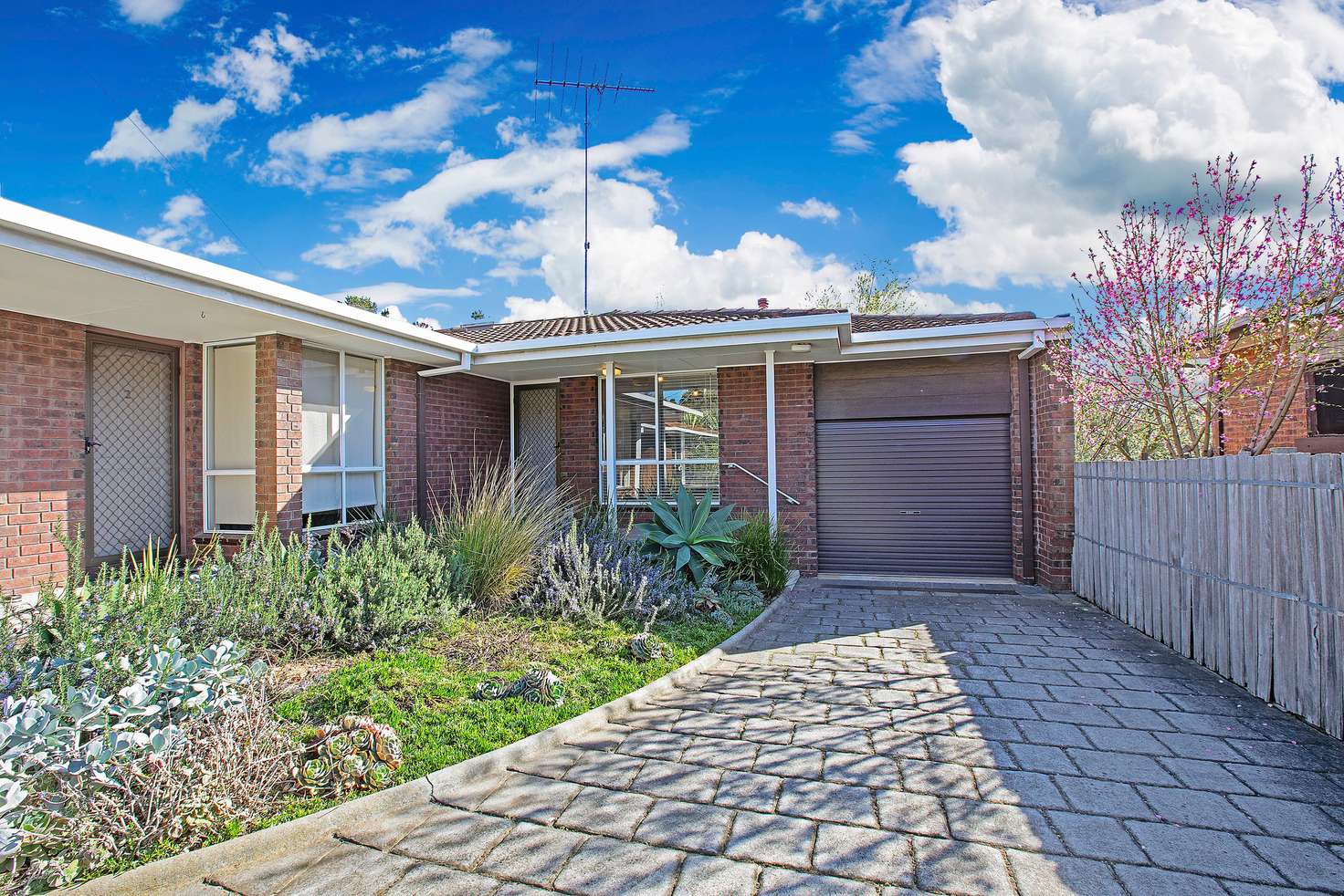 Main view of Homely unit listing, 3/43 Vanessa Avenue, Highton VIC 3216
