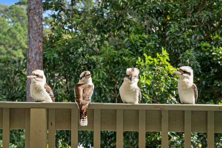 Fifth view of Homely house listing, 13 Bindoon Close, Elanora QLD 4221