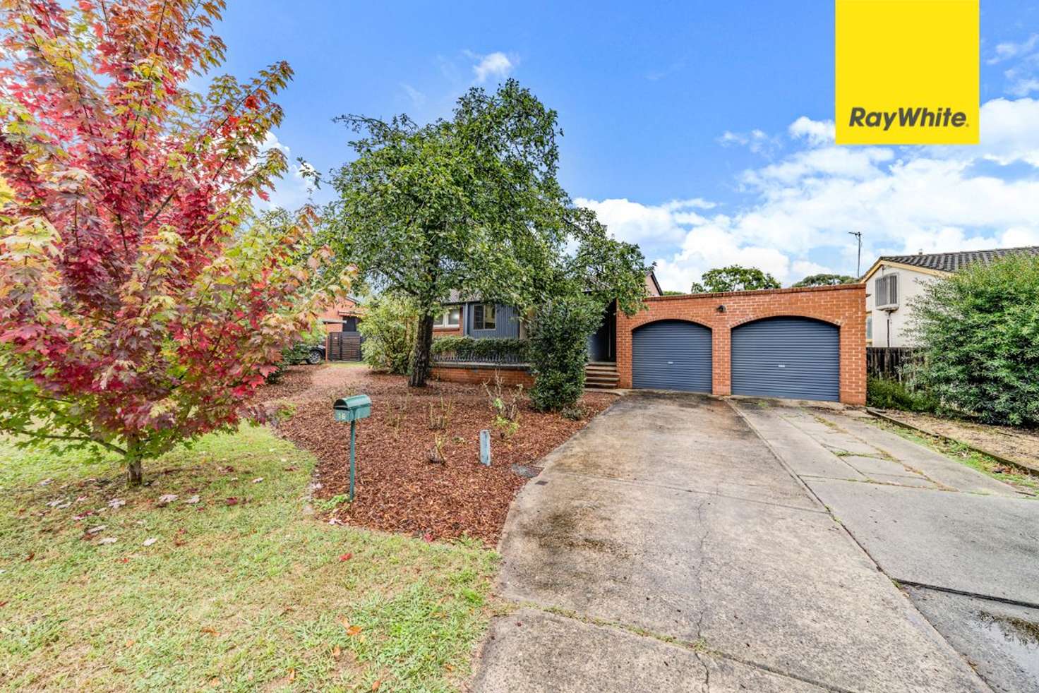 Main view of Homely house listing, 16 Molloy Crescent, Cook ACT 2614