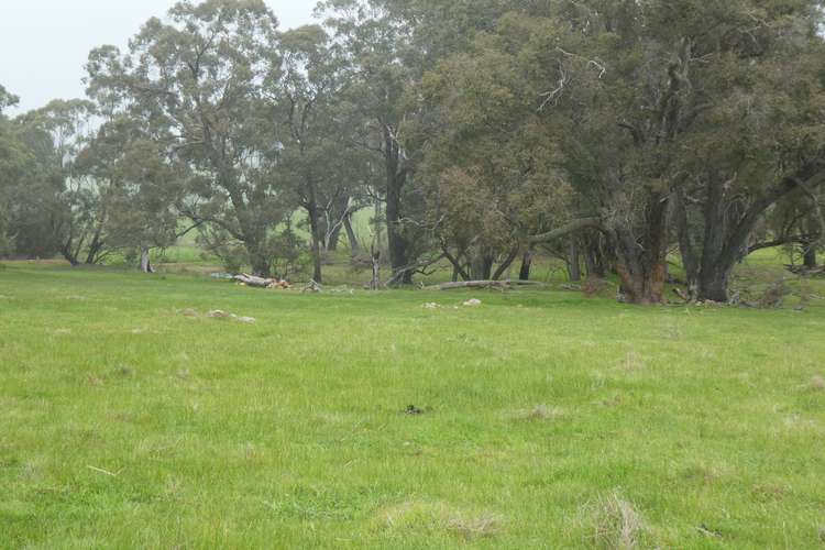 Third view of Homely residentialLand listing, LOT 1019 Jellicoe Road, Kendenup WA 6323