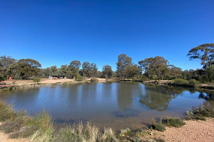 Fifth view of Homely ruralOther listing, Lot 16 DP752086 Carlisle Road, Fifield NSW 2875