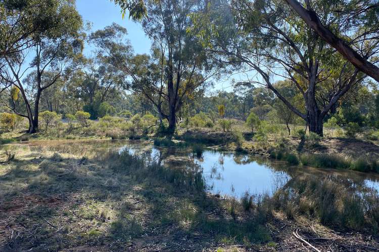 Seventh view of Homely ruralOther listing, Lot 16 DP752086 Carlisle Road, Fifield NSW 2875