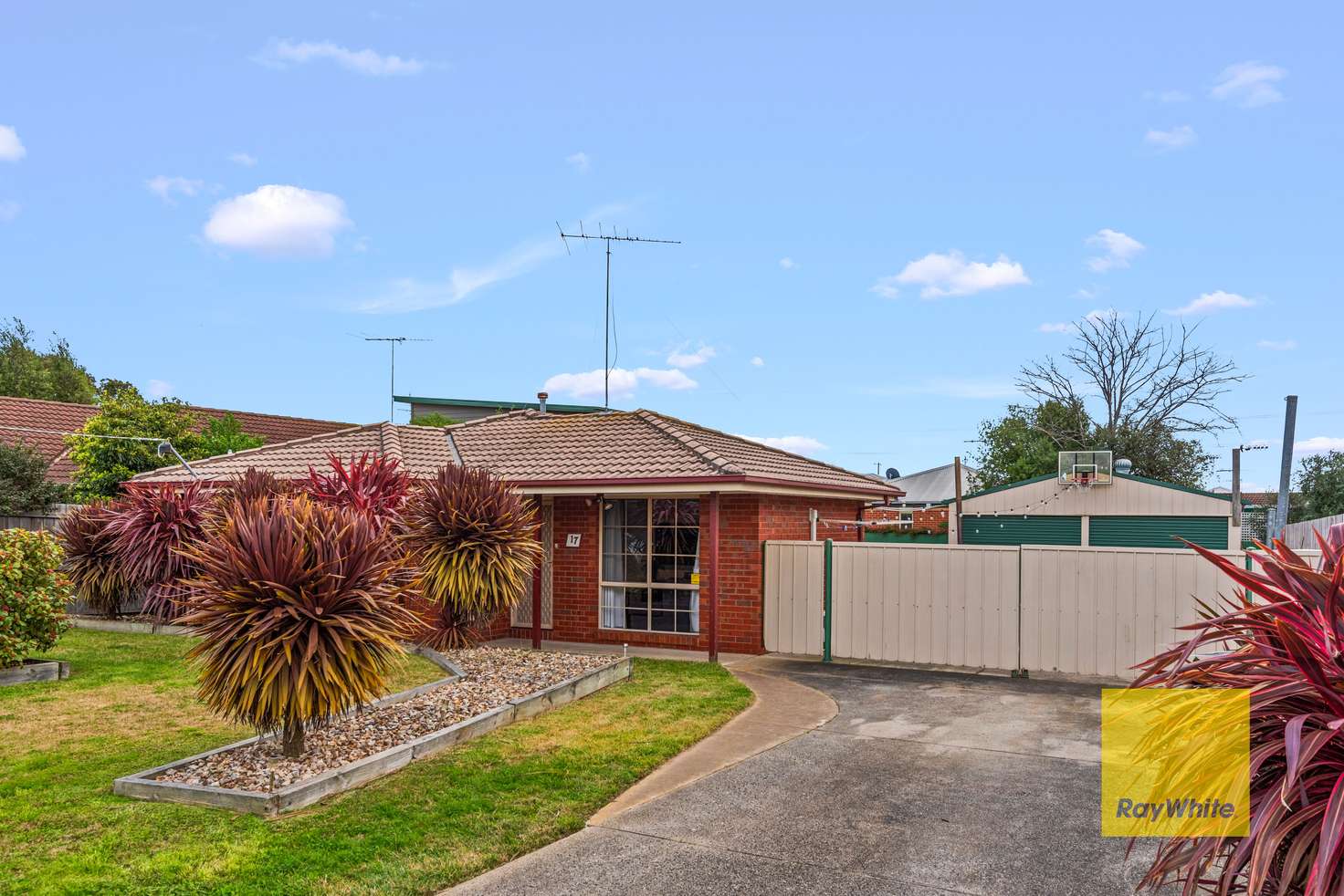 Main view of Homely house listing, 17 Jenolan Avenue, Grovedale VIC 3216