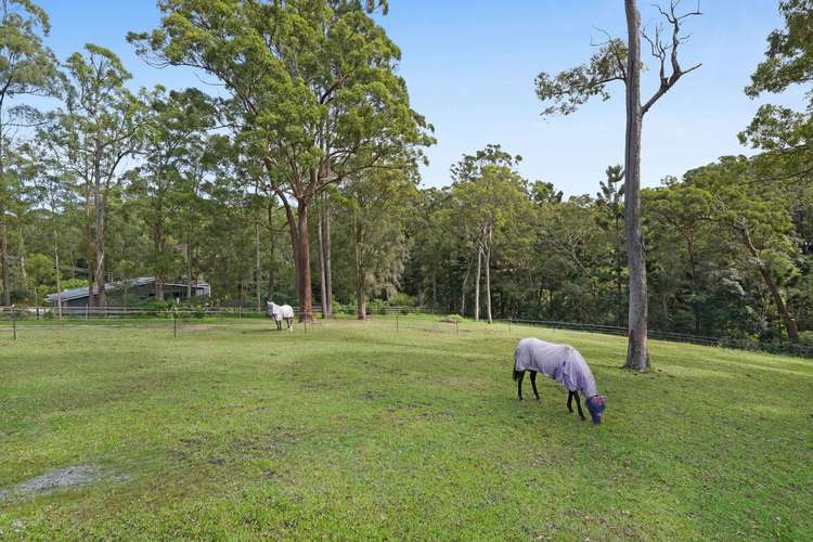 Third view of Homely house listing, 264 Trees Road, Tallebudgera QLD 4228
