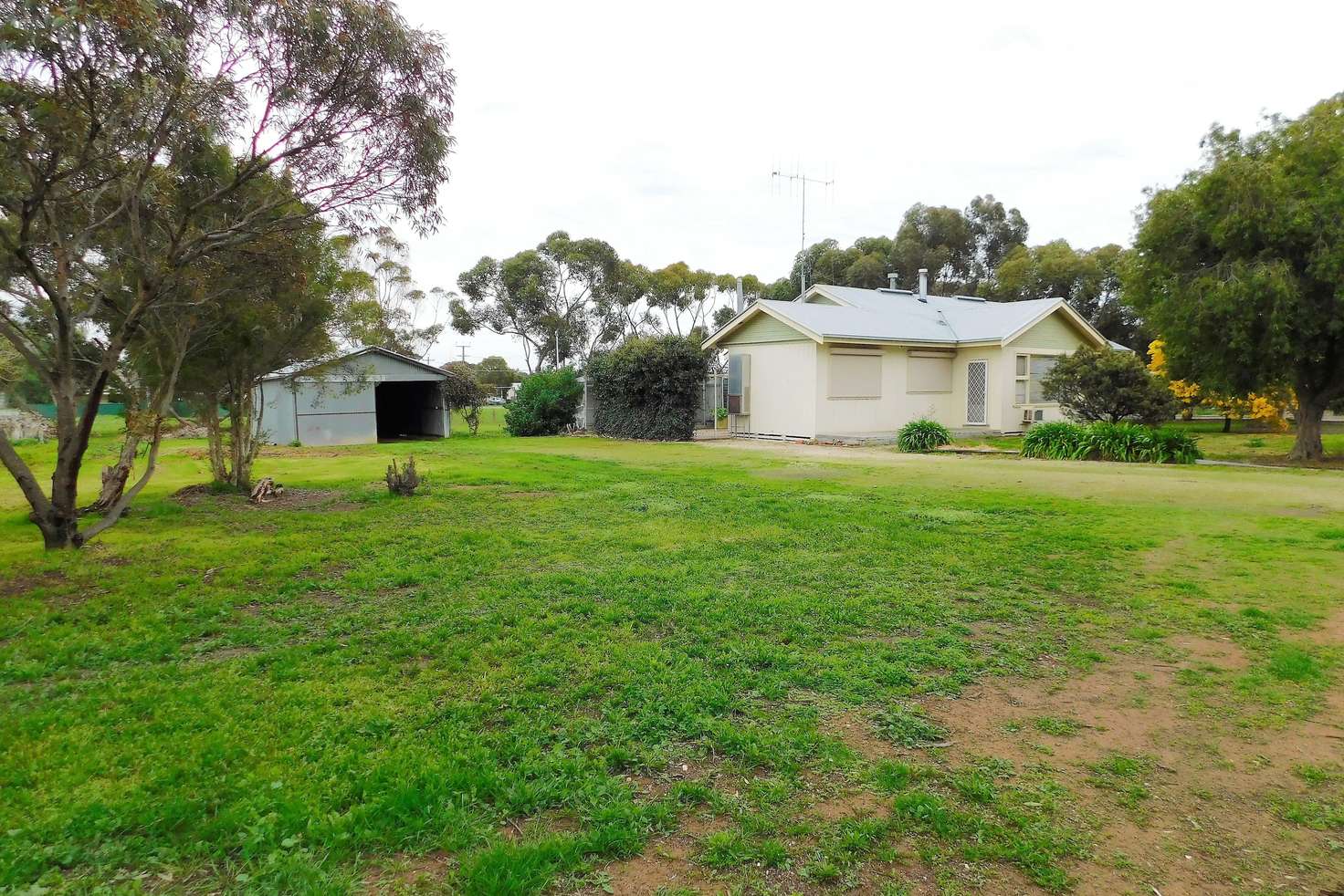Main view of Homely house listing, 113 Park Terrace, Bordertown SA 5268