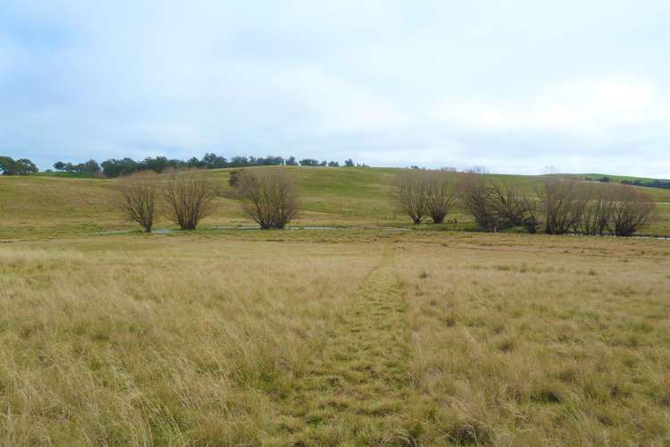 Main view of Homely ruralOther listing, 479 Woodhouselee Road, Goulburn NSW 2580