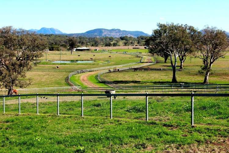 Main view of Homely ruralOther listing, 501 Christmas Creek Road, Tabooba QLD 4285