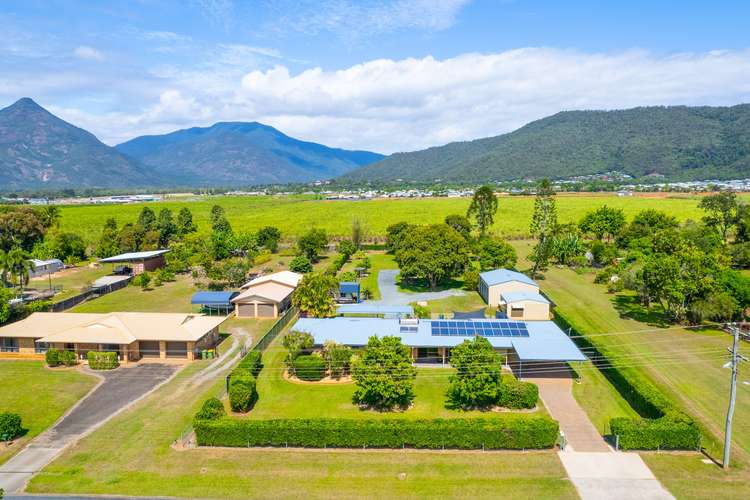 Main view of Homely house listing, 45 - 47 Grey Street, Gordonvale QLD 4865