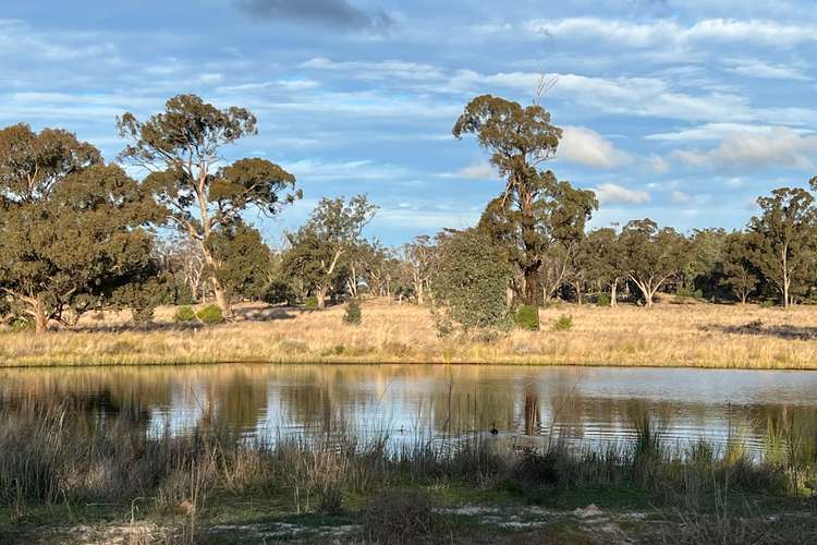 Third view of Homely ruralOther listing, Fourways Uphills Road, Forbes NSW 2871