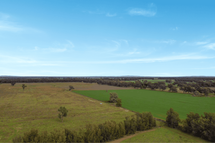 Main view of Homely ruralOther listing, Prairie Homes Newell Highway, Forbes NSW 2871