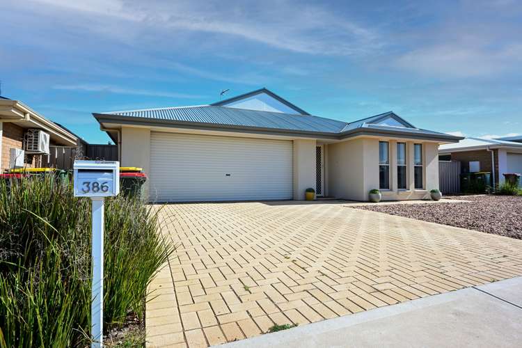 386 Jenkins Avenue, Whyalla Jenkins SA 5609